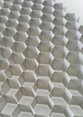 Σύστημα 600x900mm εξαερισμού αέρα κυματοδηγού κυψελωτών επιτροπών αργιλίου προστατευτικών καλυμμάτων κλουβιών RF